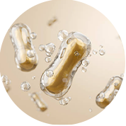 エンテロコッカスフェリカス